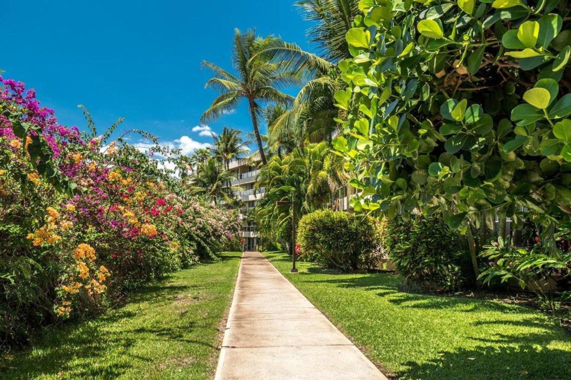 Maui Banyan Villa Wailea  Værelse billede