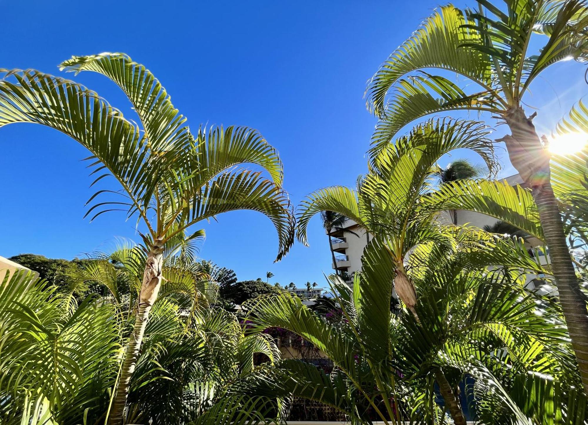 Maui Banyan Villa Wailea  Værelse billede