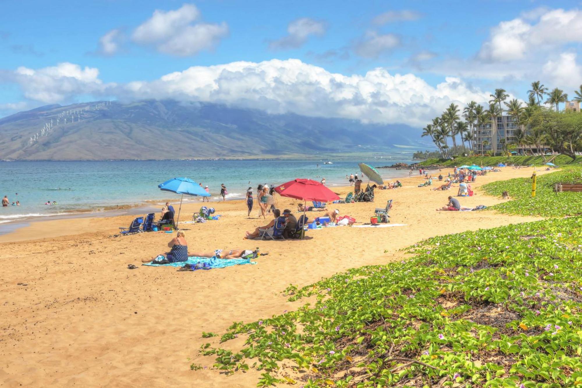 Maui Banyan Villa Wailea  Værelse billede